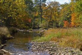 Une rivière passe tous près de la grotte et sur notre territoire :D